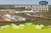 Wagga Wagga Economic Profile 2011