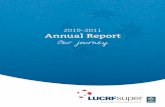 2010/11 Annual report