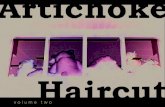 Artichoke Haircut Vol. 2