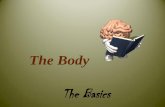 The Body:  Basics