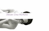 Steven Choi Portfolio 2012