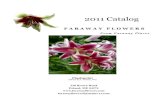Faraway Flowers 2011 Catalog