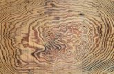 Premium 70 wood textures_2