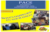 Pace Residential Life October 2012 Newsletter