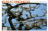 Escapes Panama Vol. 10