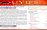 IFS Market Report Issue 6