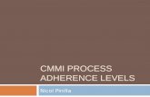 CMMI Process adherence levels