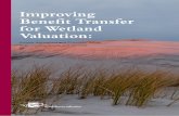 Improving Benefit Transfer for Wetland Valuation