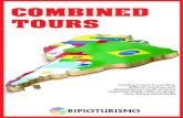 COMBINED TOURS TO VISIT SOUTH AMERICA, BY RIPIOTURISMO
