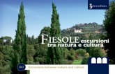 Fiesole Escursioni_2012