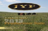 2013 JYF Limousin Production Sale
