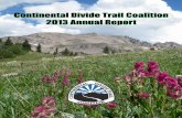 Cdtc 2013 annual report