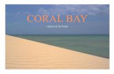 Coral bay - Photoagraphs