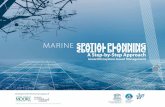 Marine spatial planning: a step-by-step approach toward ecosystem-based management