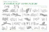 The New York Forest Owner - Volume 31 Number 3