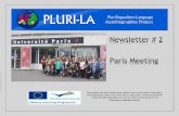 Newsletter #2 - PLURI-LA