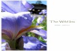 The Wild Iris -- Issue One