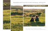 Baker Institute for Animal Health Annual Report 2011-2012