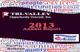 2013 tri valley annual report