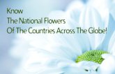 National Flowers - Facts And Interesting Information
