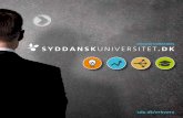 Partnership possibilities with the University of Southern Denmark