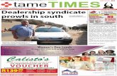 Tame times jhb south 5 july 2014