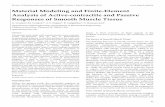 Material Modeling and Finite-Element Analysis of Active-contractile and Passive Responses of Smooth