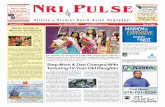 NRI Pulse August 2014