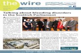 The Wire (Issue 2)