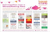 Strawberry Tea Breast Cancer Care