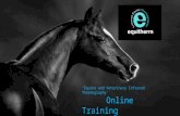 Equine Infrared Thermography Online Training