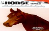 Horse times 04
