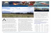 Kamloops fire centre wildfire newsletter Aug 26th