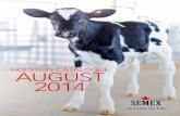 Semex August 2014 International Holstein Catalogue