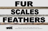 Northwest Wildlife: fur, scales & feathers