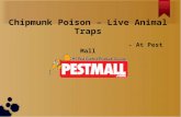 Chipmunk Poison - Live Animal Traps