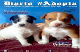 Diario #Adopta N.01 Sep'14