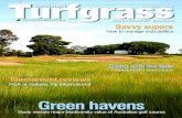 Australian Turfgrass Managment Journal - Volume 16.5 (September-October 2014)