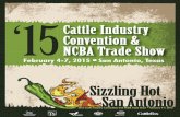 2015 San Antonio Registration Brochure