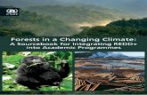 Forests in a changing climate: a sourcebook for integrating REDD+ into academic programmes 2014