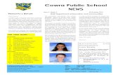 Cowra Public School Newsletter Trm4 Wk 4