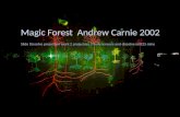 MAGIC FOREST: Andrew Carnie