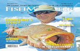 FishMonster Magazine - November 2014