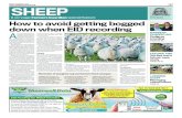 Farmers Guardian Sheep Supplement 7 November 2014
