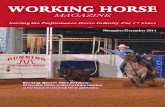 Working Horse Magazine November-December 2014