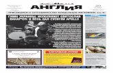 Angliya Newspaper №43 (446), 20.11.2014