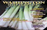 Washington Gardener Magazine November 2014