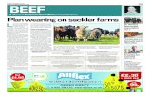 Farmers Guardian Beef Special 21 November 2014