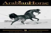 Arabian Horse Magazine / n.3 2014