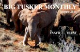 Tsavo Trust | BIG TUSKER MONTHLY | August 2014